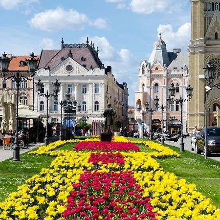 ! Promo! Central Evergreen Studio - Free Public Parking-Fast Wi-Fi Novi Sad Eksteriør bilde